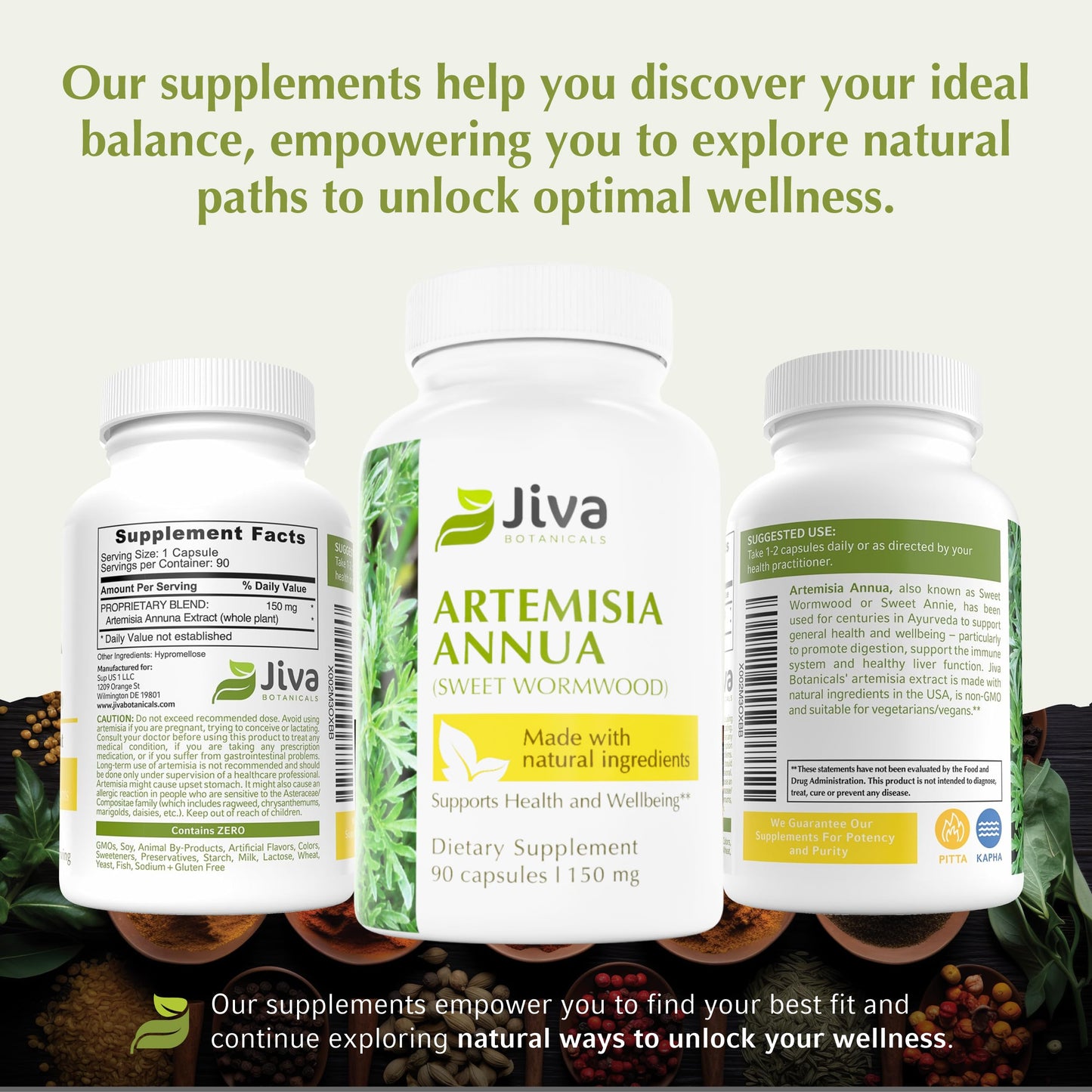 Jiva Botanicals Artemisia Annua Wormwood Capsules โ Immune & Liver Health โ USA Made (90 Capsules)