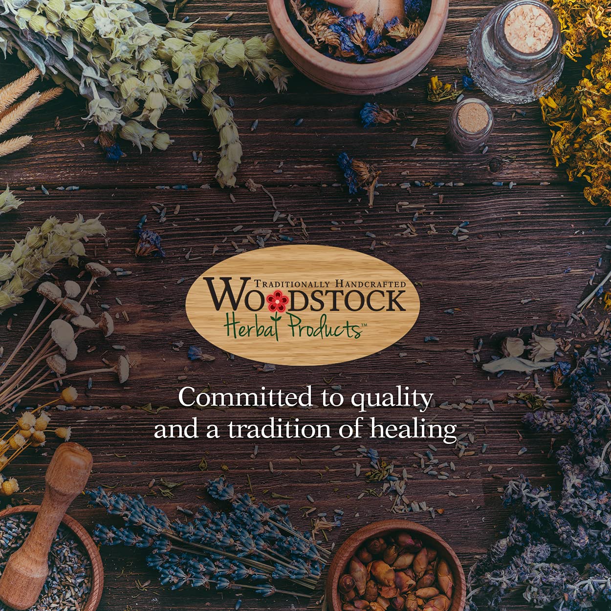 Oil of Oregano 0.5 oz โ Woodstock Herbal Products