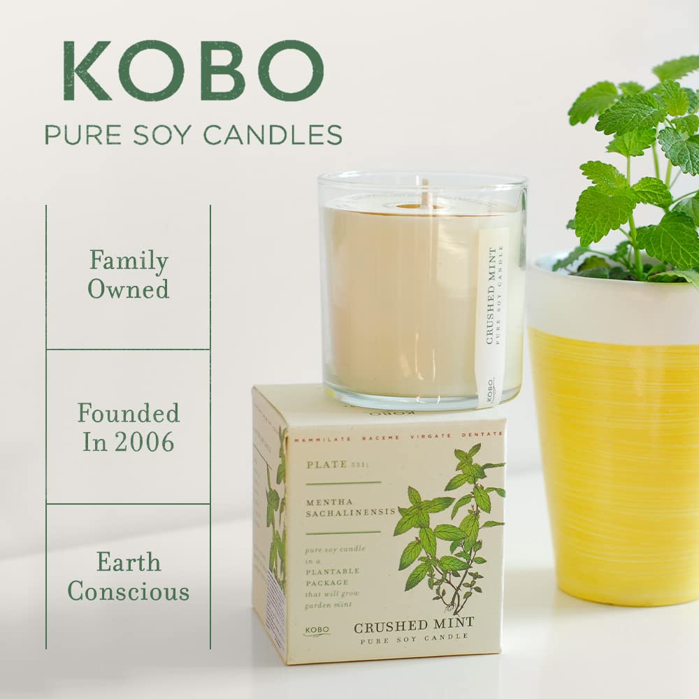 KOBO Sweet Sunflower Candle with Plantable Box (9 oz) | Plant The Box Collection | 100% Pure Soy Wax