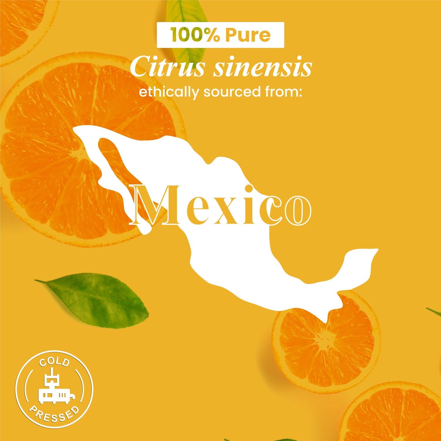 Handcraft Blends Orange Essential Oil โ 4 oz | 100% Pure & Natural, Premium Grade