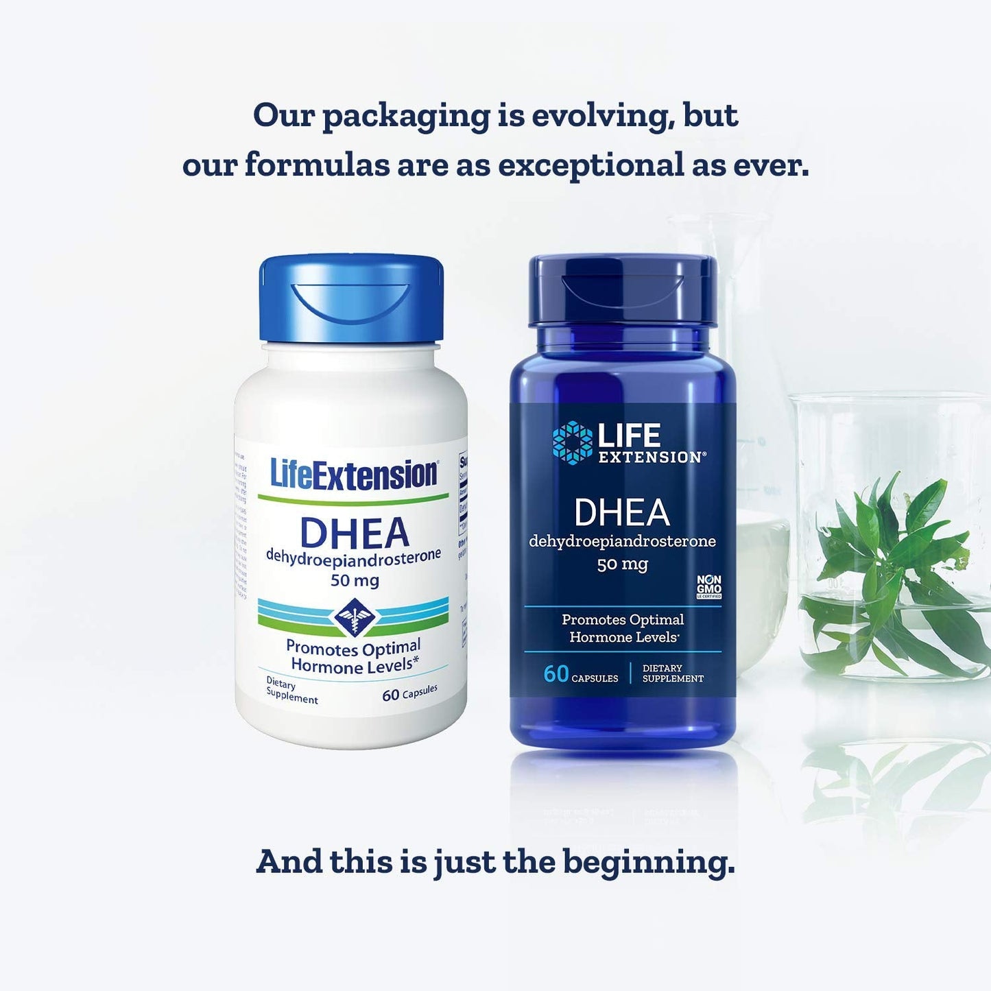 Life Extension DHEA 50 mg โ 60 Capsules (2 Pack) | DHEA Supplement