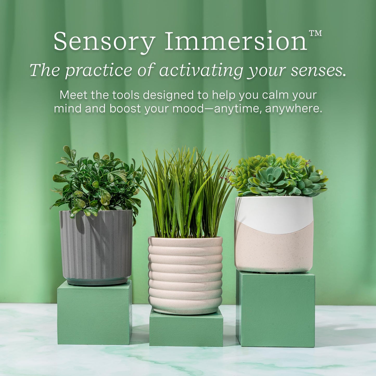 Lifelines Plant Diffuser Bundle β 2 ClickWick Essential Oil Blends | Rechargeable Faux Plant Diffuser & Modern Planter