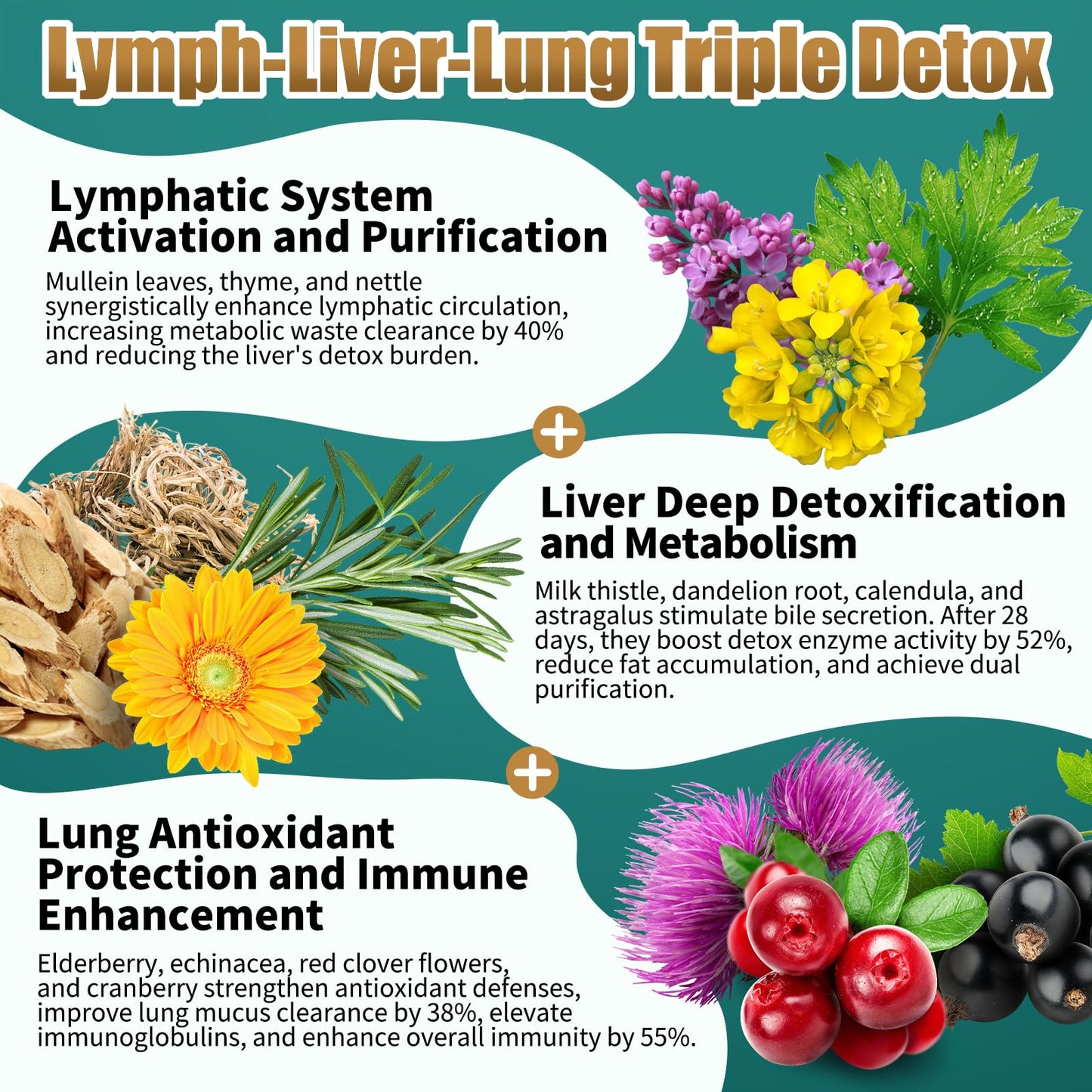 Liposomal Lymph-Liver-Lung Cleanse Drops 2500mg โ Immune Support (2 oz)