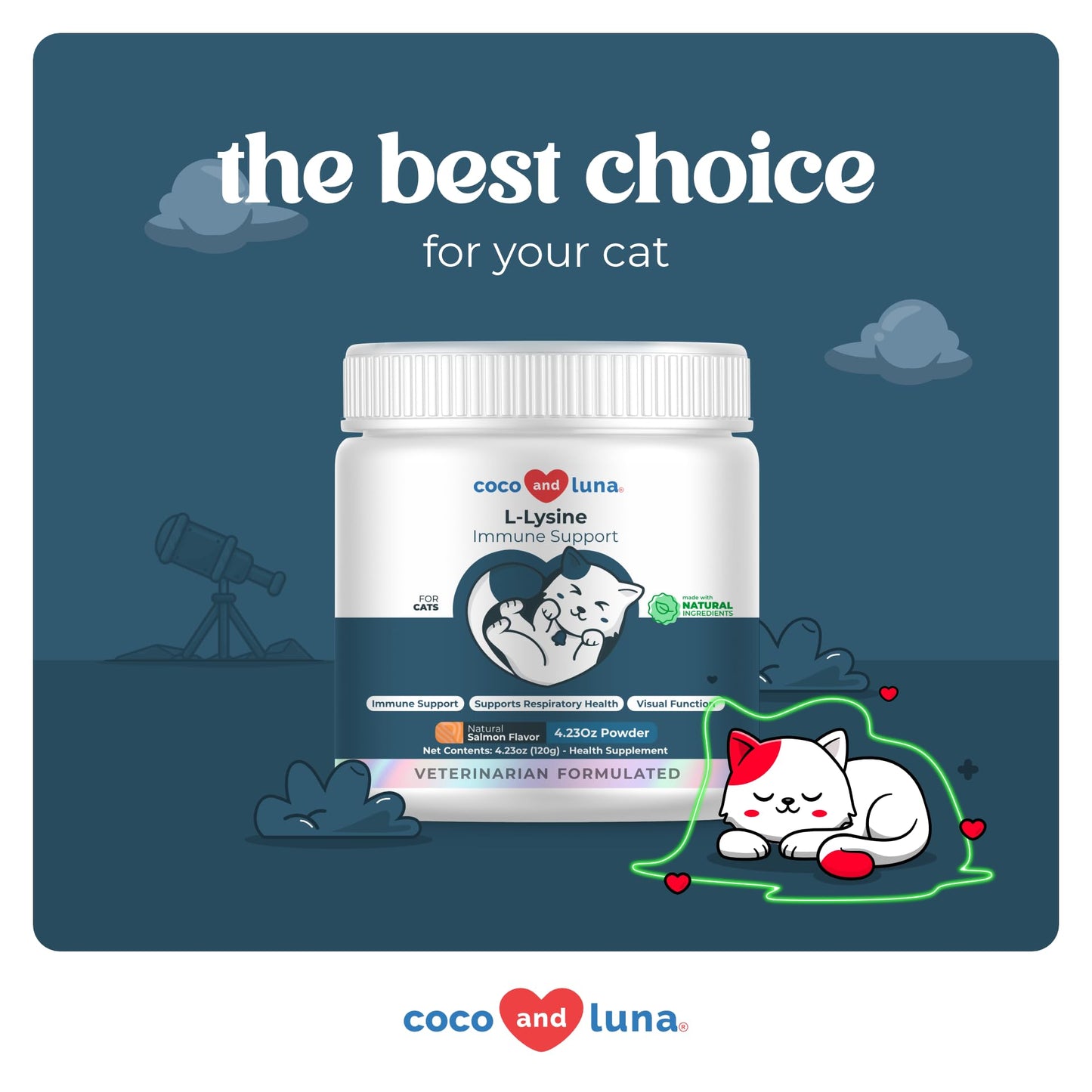 L-Lysine for Cats 900mg per Scoop โ Immune, Eye & Respiratory Support