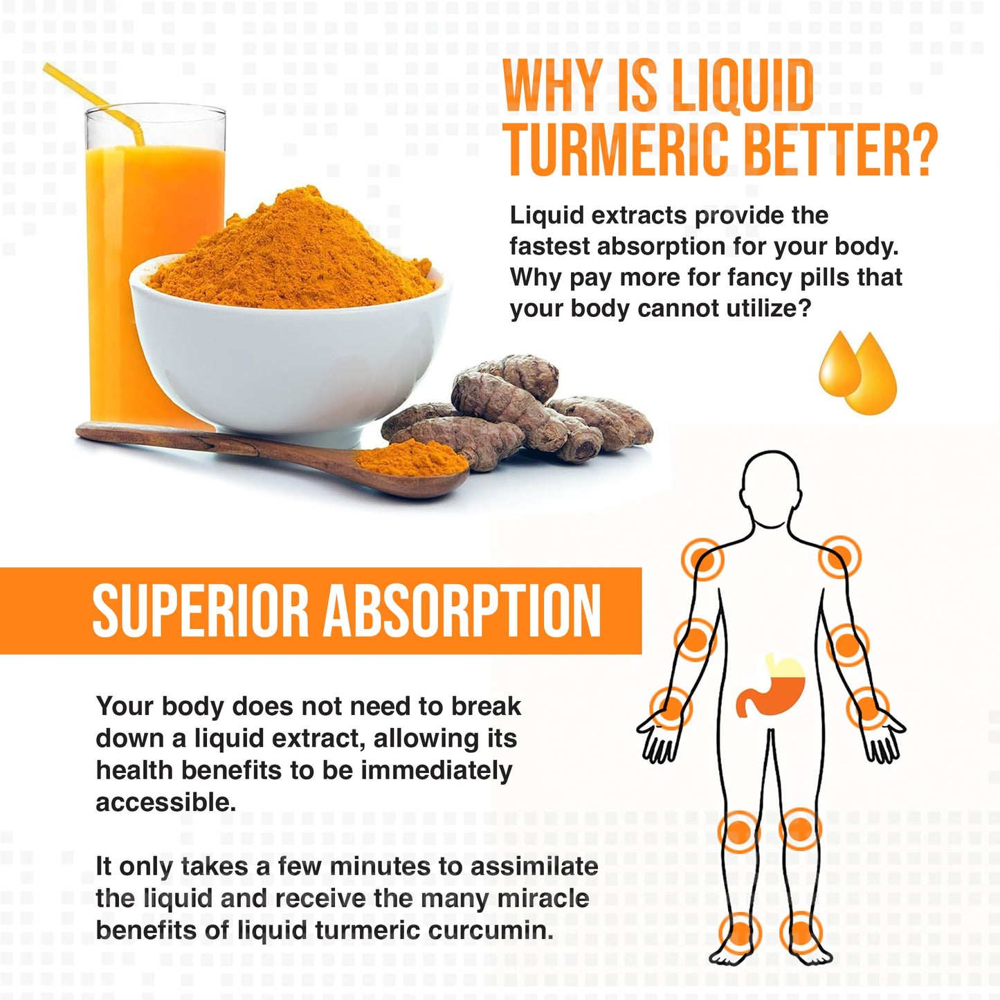 MBS Biotechnology Advanced Liquid Turmeric β High Absorption Curcumin with BioPerine & Vitamin D3 β 20 fl oz