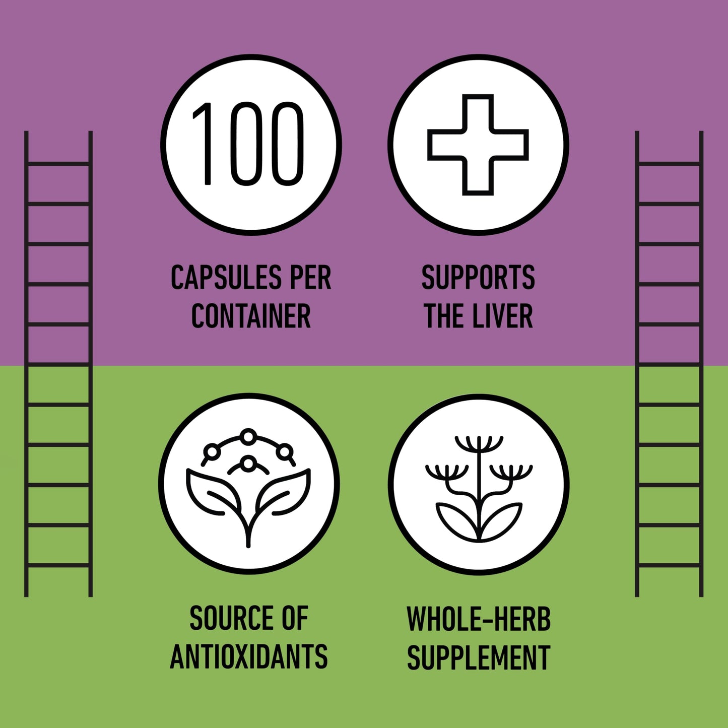 Milk Thistle Capsules 500 mg Silymarin โ Pure Organic, Pack of 2 (200 Capsules) | Complete Natural Products