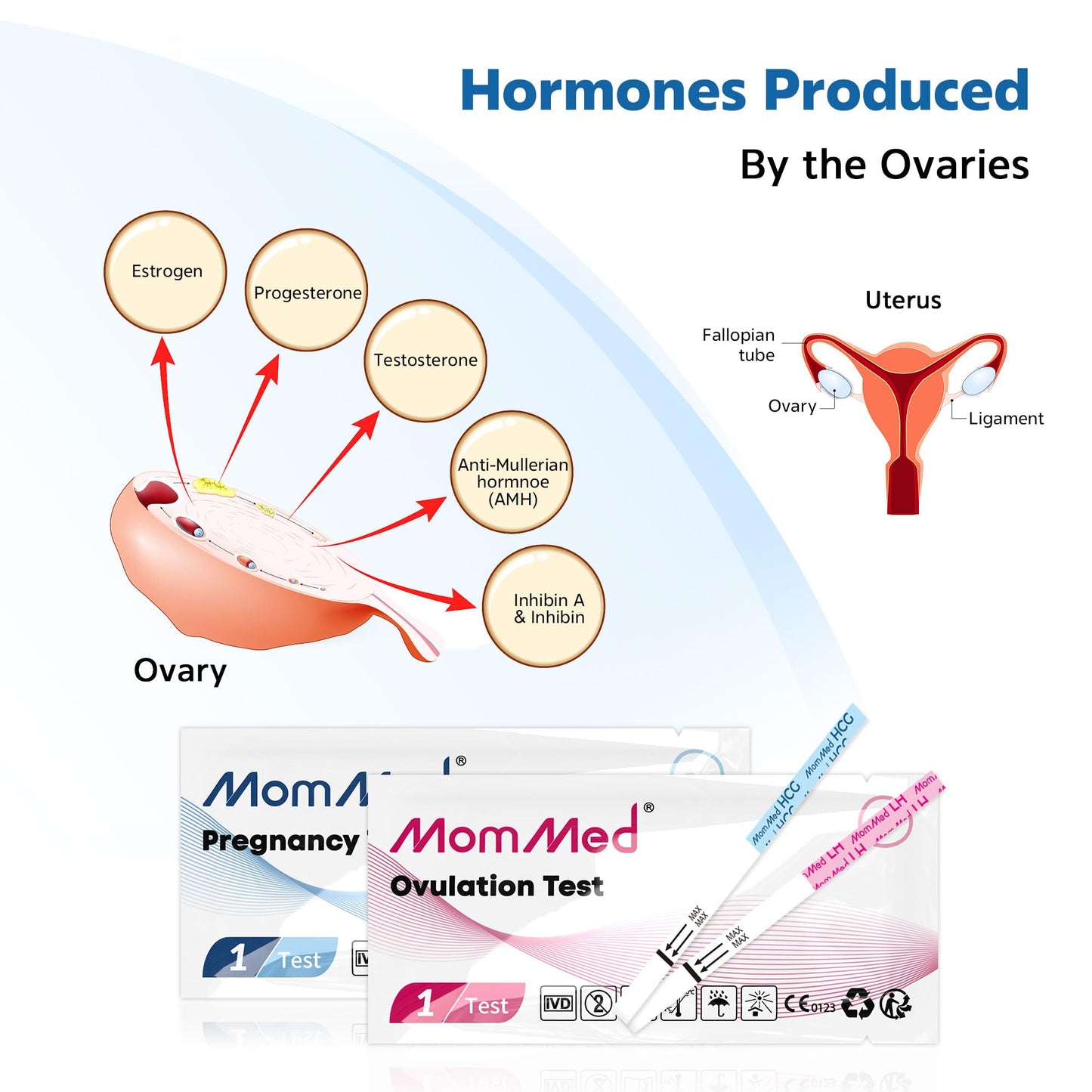 MomMed Ovulation Predictor Kit (HCG25-LH100) โ 25 Pregnancy Tests & 100 Ovulation Tests