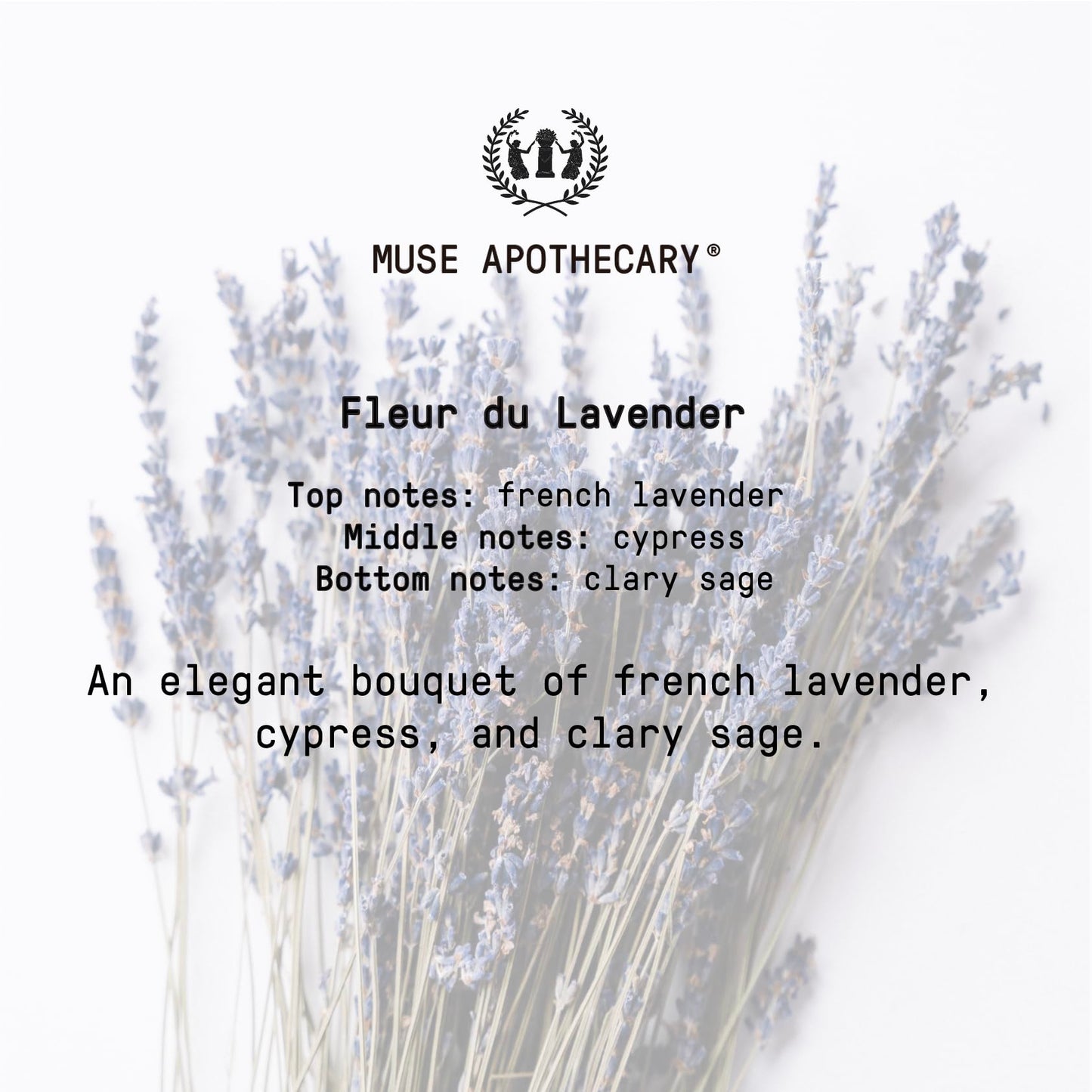 Muse Apothecary Pillow Ritual Mist โ Lavender Linen Spray, 8 oz (2 Pack)