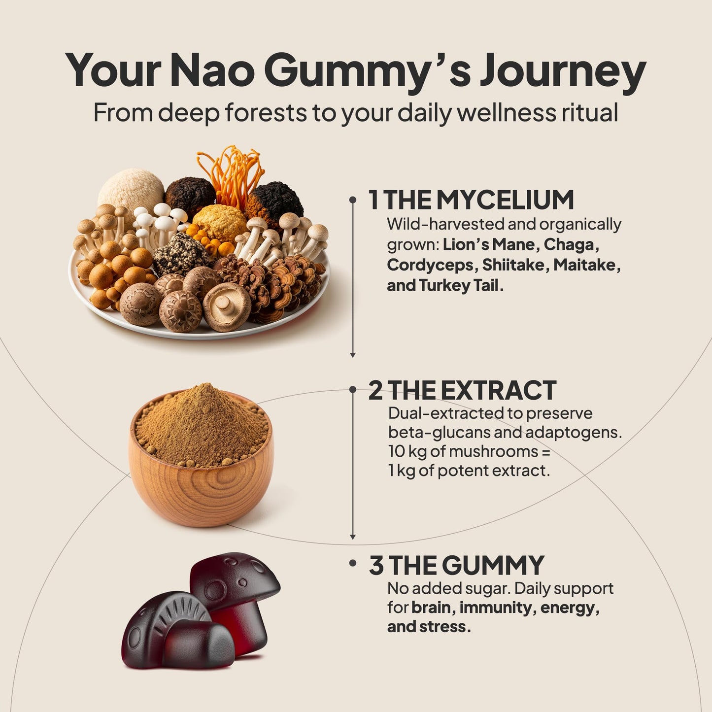 NAO Made in USA 10-in-1 Mushroom Gummies Nootropic – Brain, Immune & Energy Support (Non-GMO, Vegan)