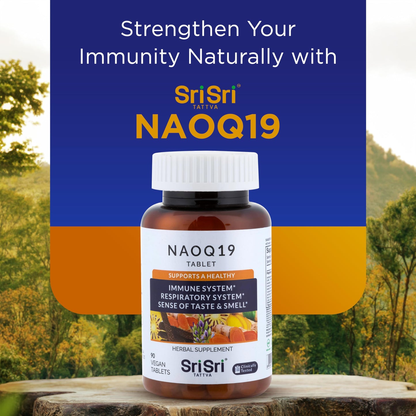 NAOQ19 Immunity Support โ 19-Herb Ayurvedic Formula | Sri Sri Tattva | 90 Capsules