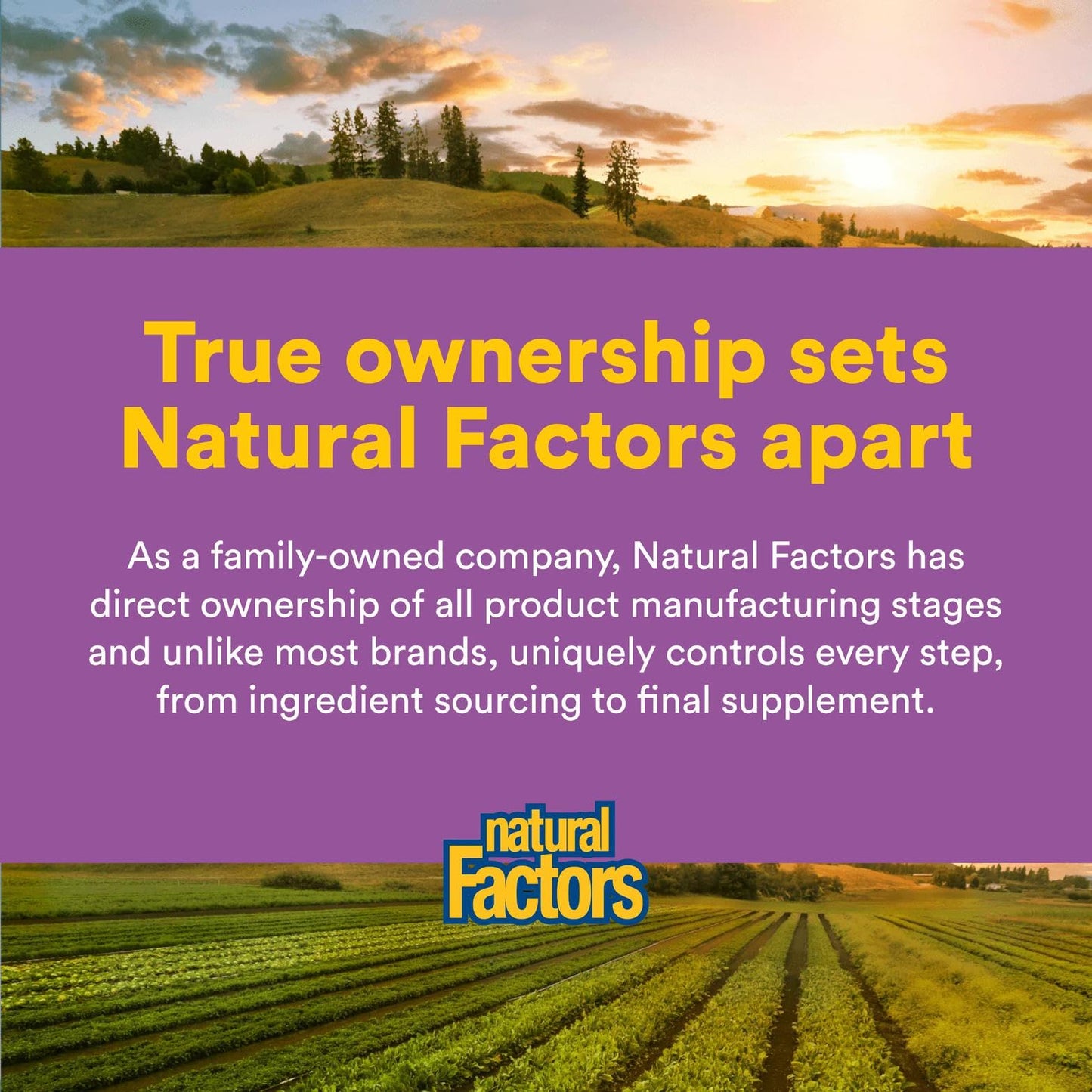Natural Factors Vitamin E 400 IU Softgels โ Antioxidant & Cardiovascular Support