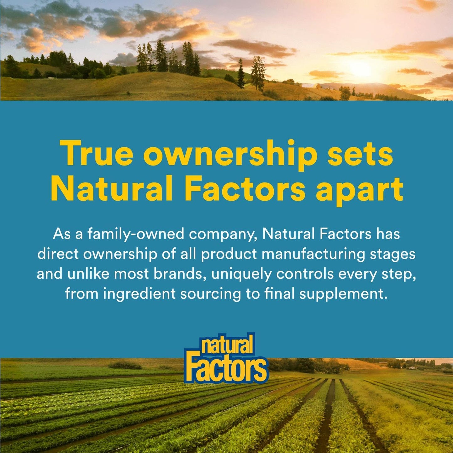 Natural Factors Acidophilus & Bifidus โ Digestive Health, 90 Capsules