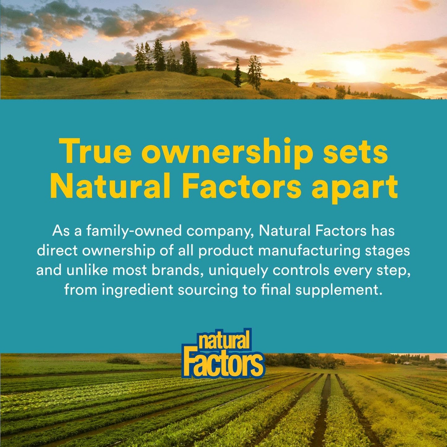 Natural Factors Alpha-Lipoic Acid + B 600 mg โ 60 Capsules | Antioxidant Support