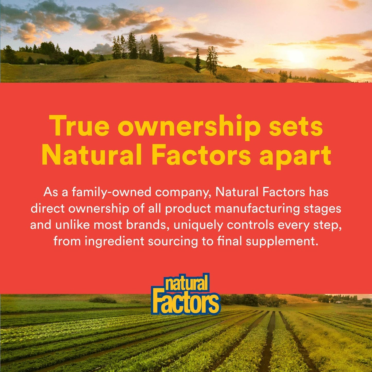 Natural Factors C Extra + Quercetin โ 60 Easy Swallow Capsules | Vitamin C 500 mg & Quercetin 250 mg | Non-GMO, Vegan