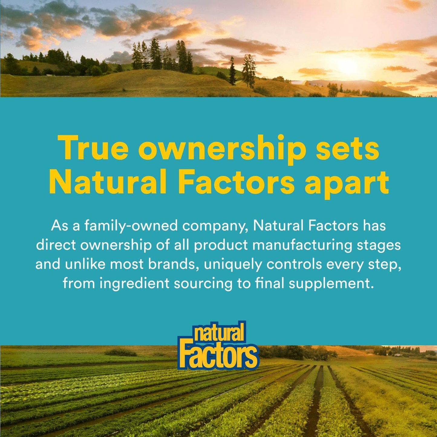 Natural Factors Glutathione LipoMicel Matrix 300 mg โ 90 Softgels