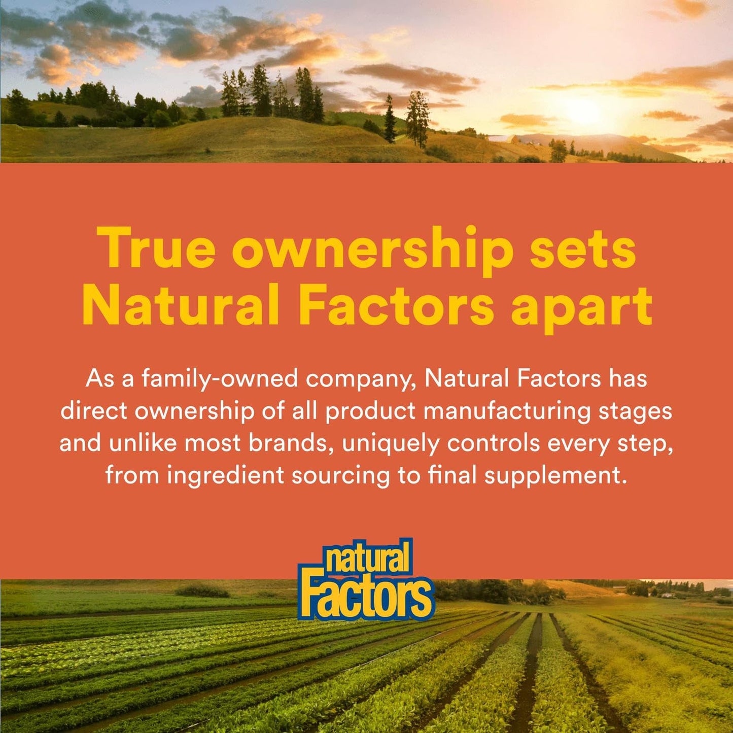 Natural Factors Joint MSM Formula โ Supports Joints, Muscles & Cartilage (90 Capsules)