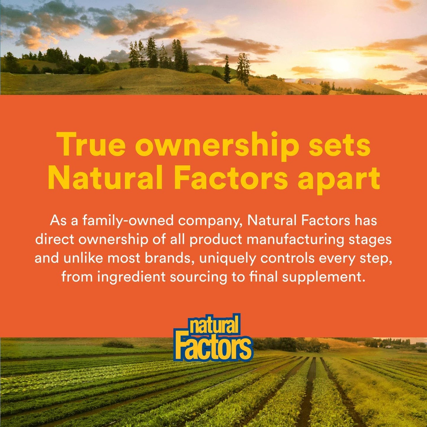 Natural Factors Liposomal Vitamin C, 60 Softgels โ High-Absorption Vitamin C