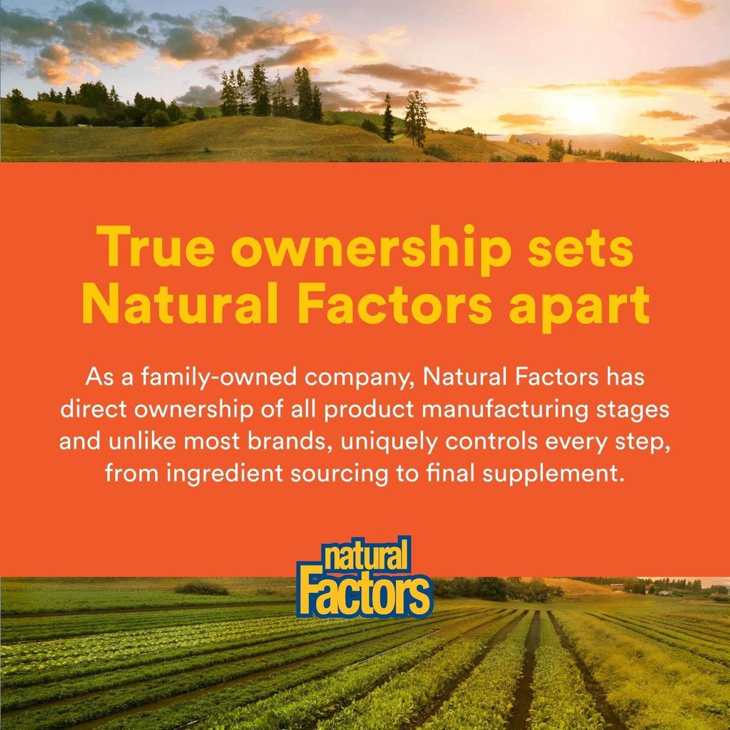 Natural Factors MSM โ Supports Healthy Joints, Hair, Skin & Nails | 90 Capsules