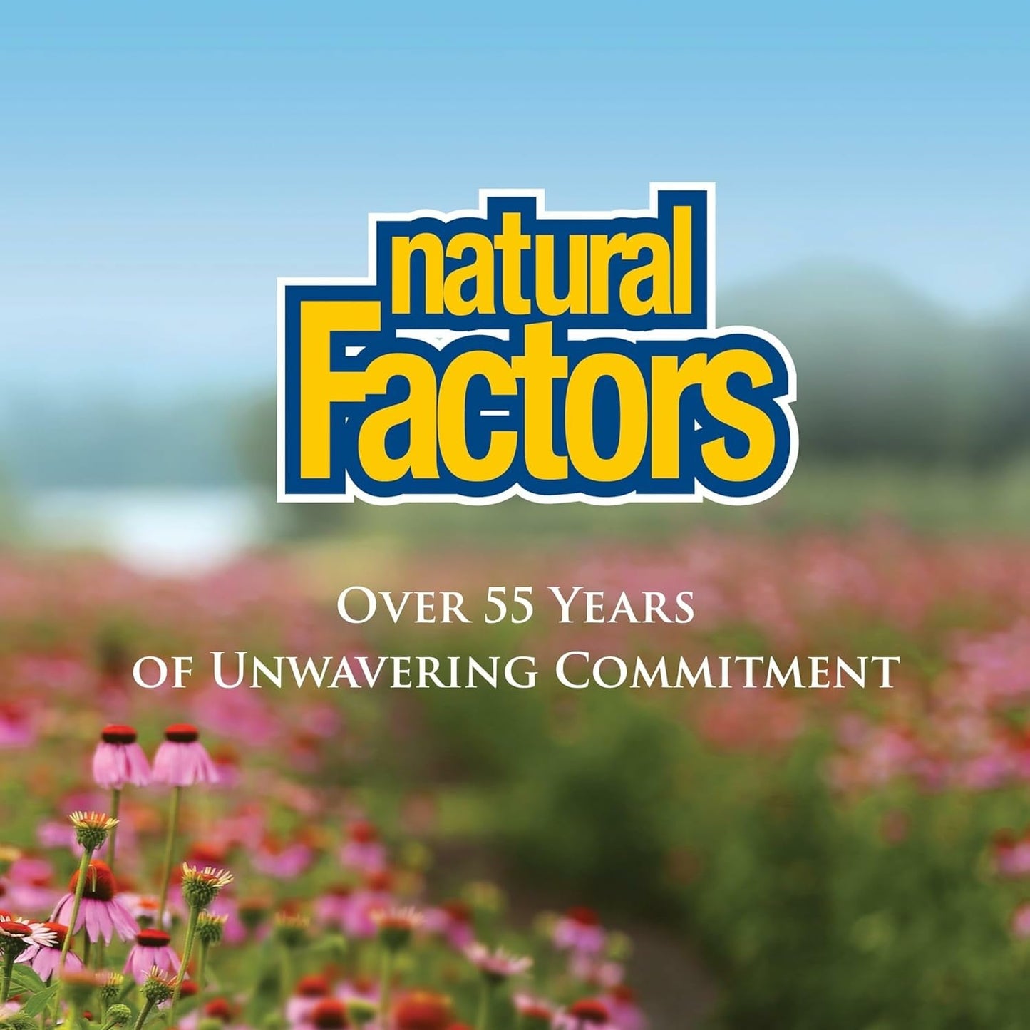 Natural Factors OsteoMove Joint Care โ Extra Strength, Non-GMO, 120 Tabs (60 Servings)