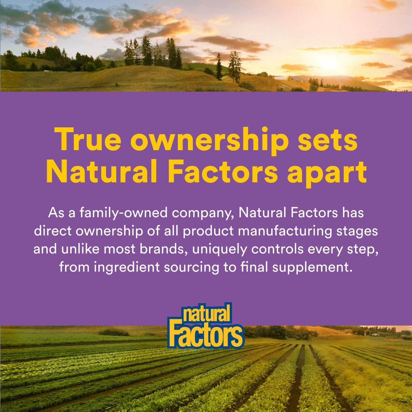 Natural Factors Stress-Relax Mind Retreat โ 60 Vegetarian Capsules