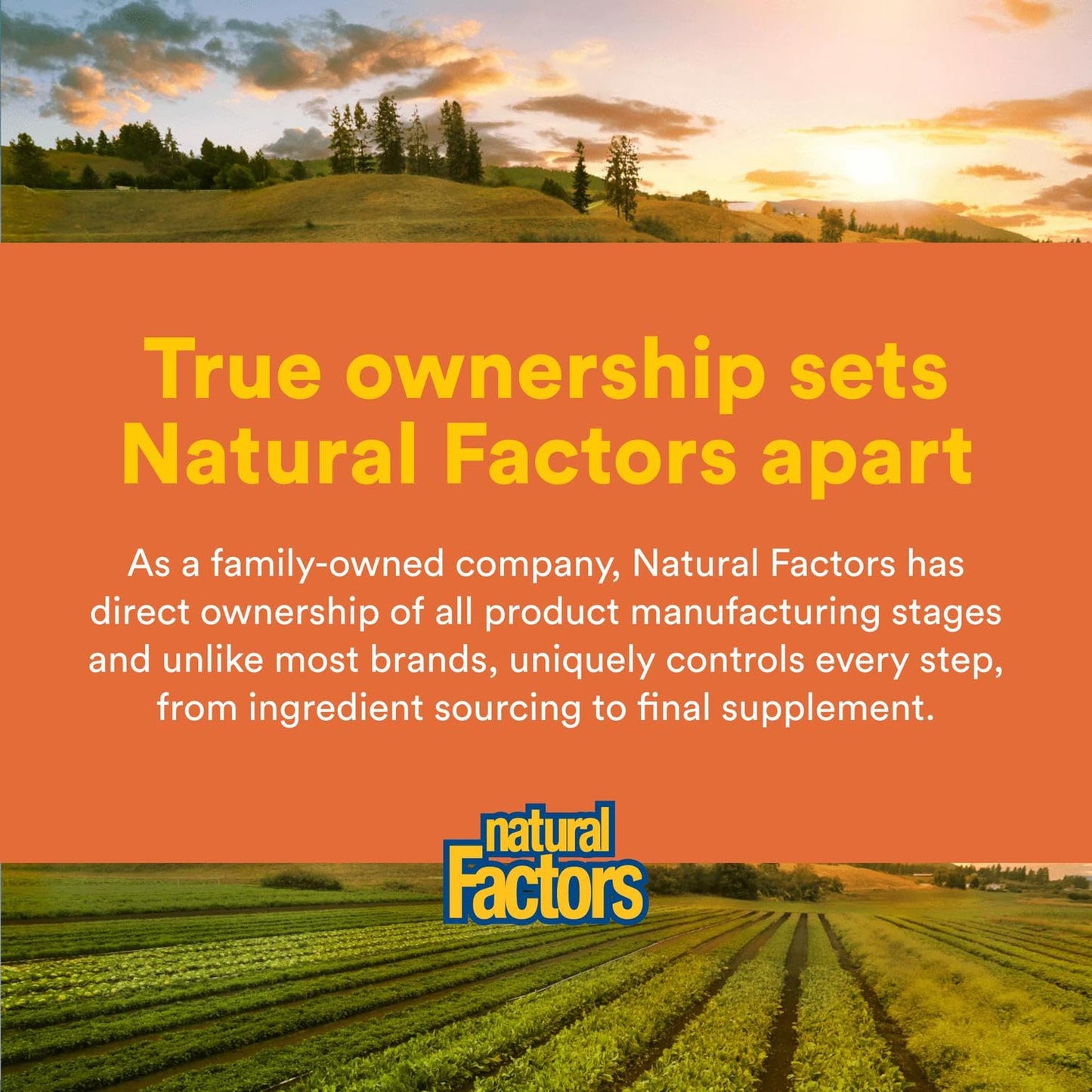 Natural Factors Total Body Collagen Bioactive Peptides Powder โ Orange | Skin, Hair & Joint Support