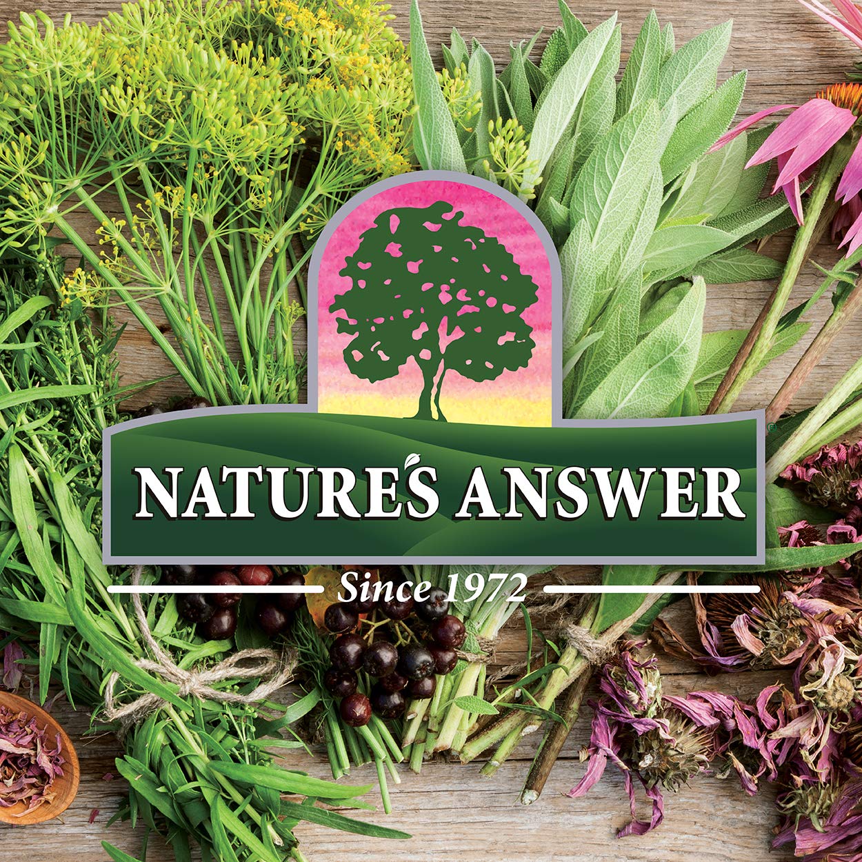 Nature's Answer Alcohol-Free Skullcap Herb - 1-Fluid Ounce