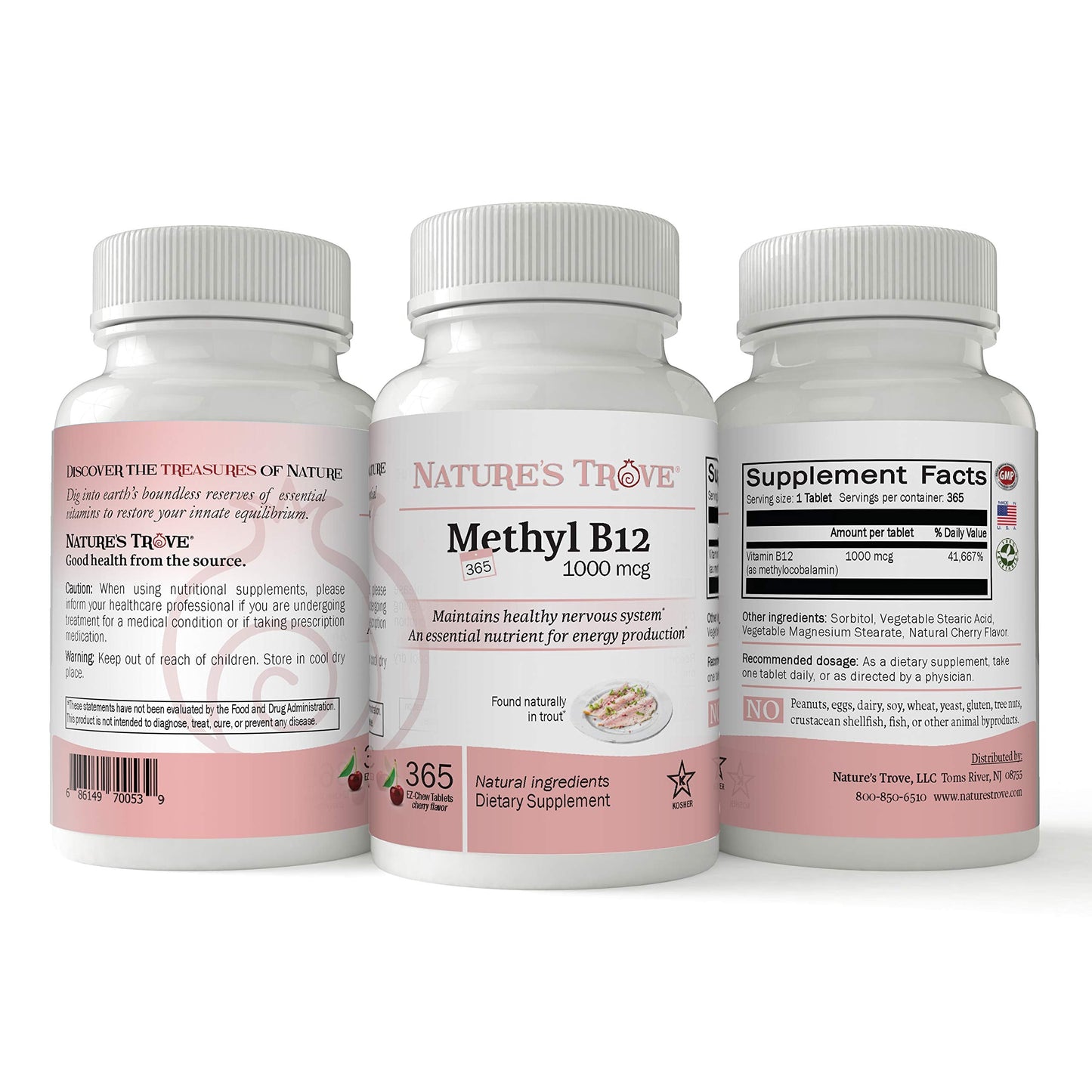 Nature's Trove Vitamin B12 Methylcobalamin 1000 mcg โ 365 Cherry Flavor Chewables