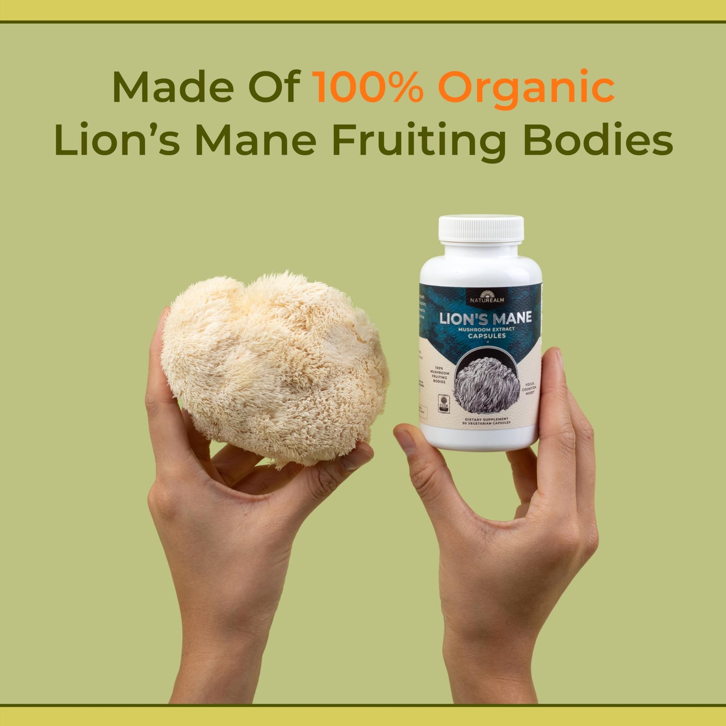 Naturealm Lions Mane Mushroom Supplement โ Organic Brain Support, Focus & Memory | 90 Vegetarian Capsules