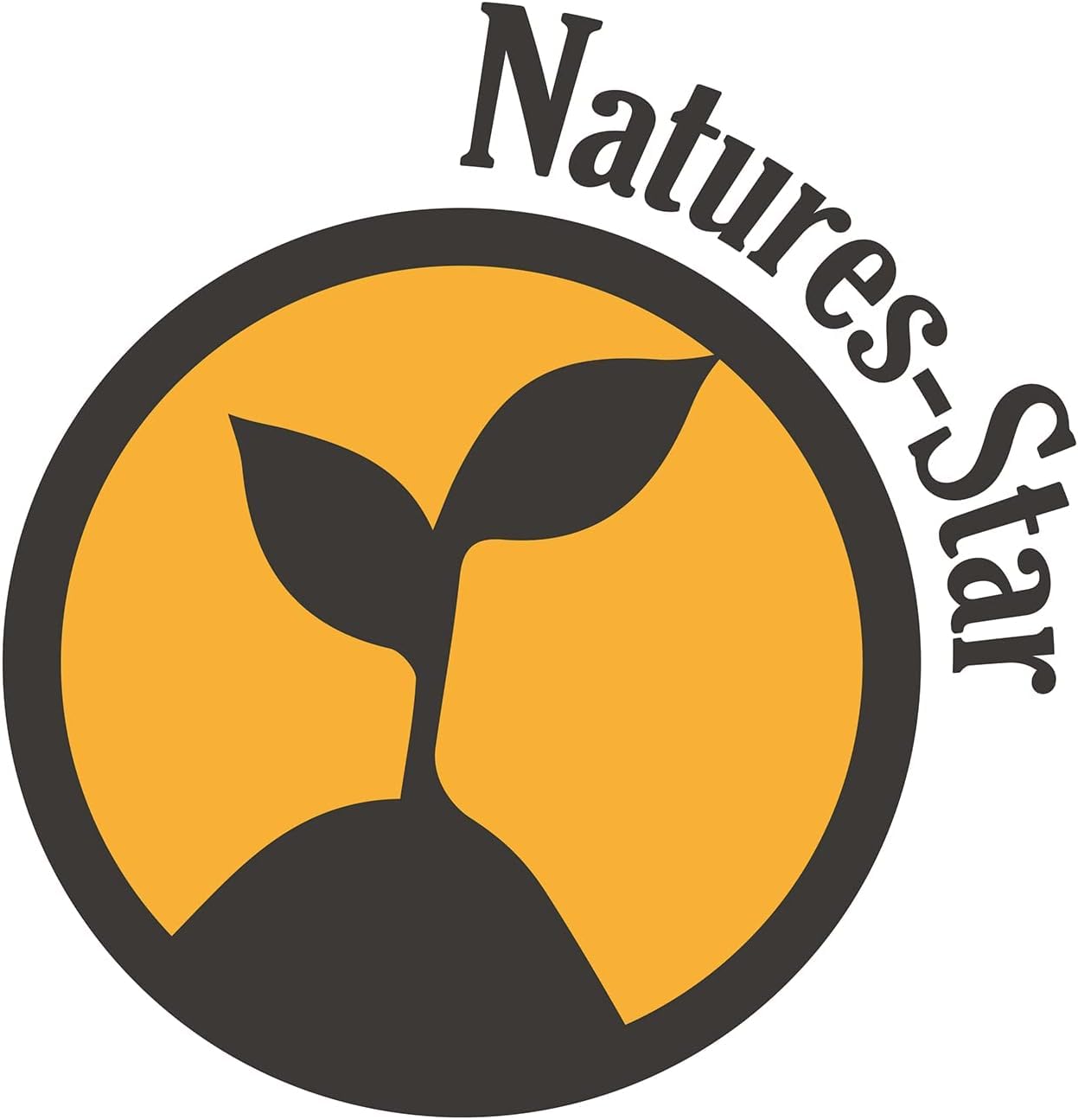 Natures-Star Frankincense Essential Oil 16 oz โ Therapeutic Grade Bulk Bottle