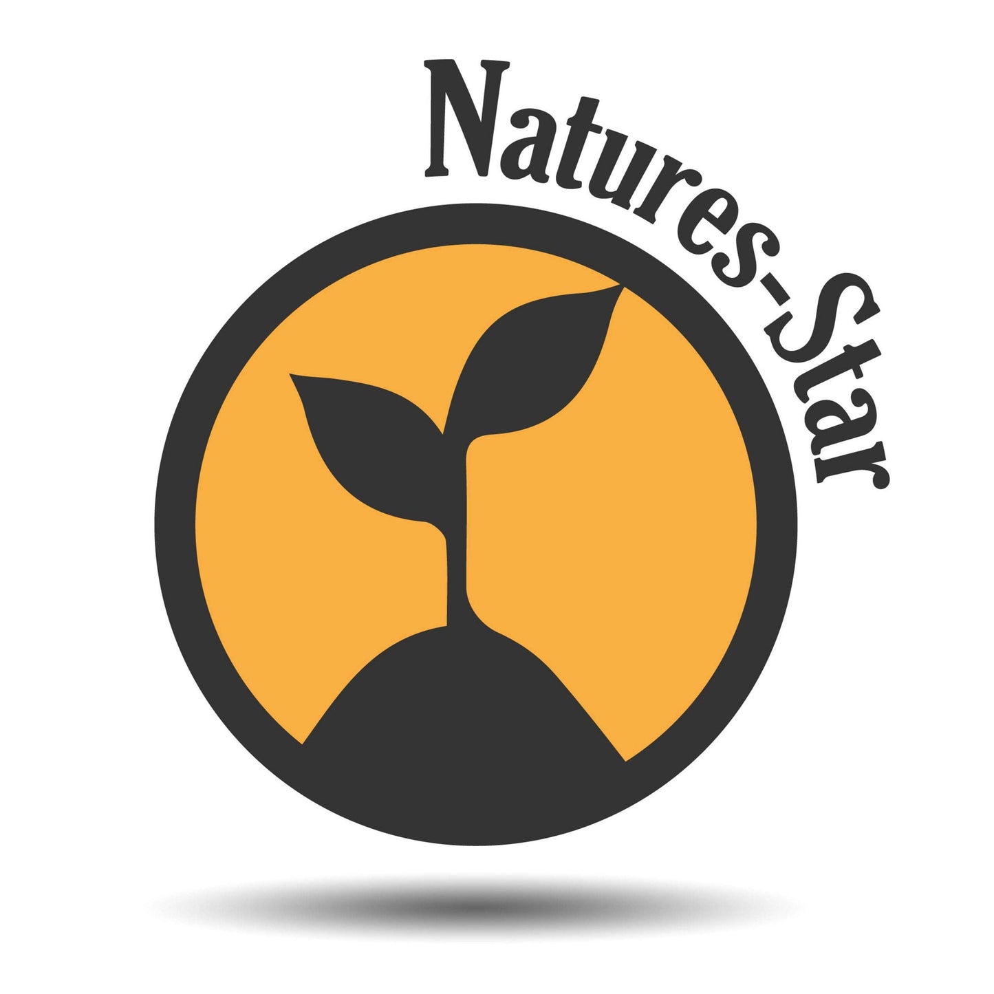 Natures-Star Tea Tree Essential Oil 16 Oz โ Therapeutic Grade for Aromatherapy, Diffuser, Soap & Candle Making