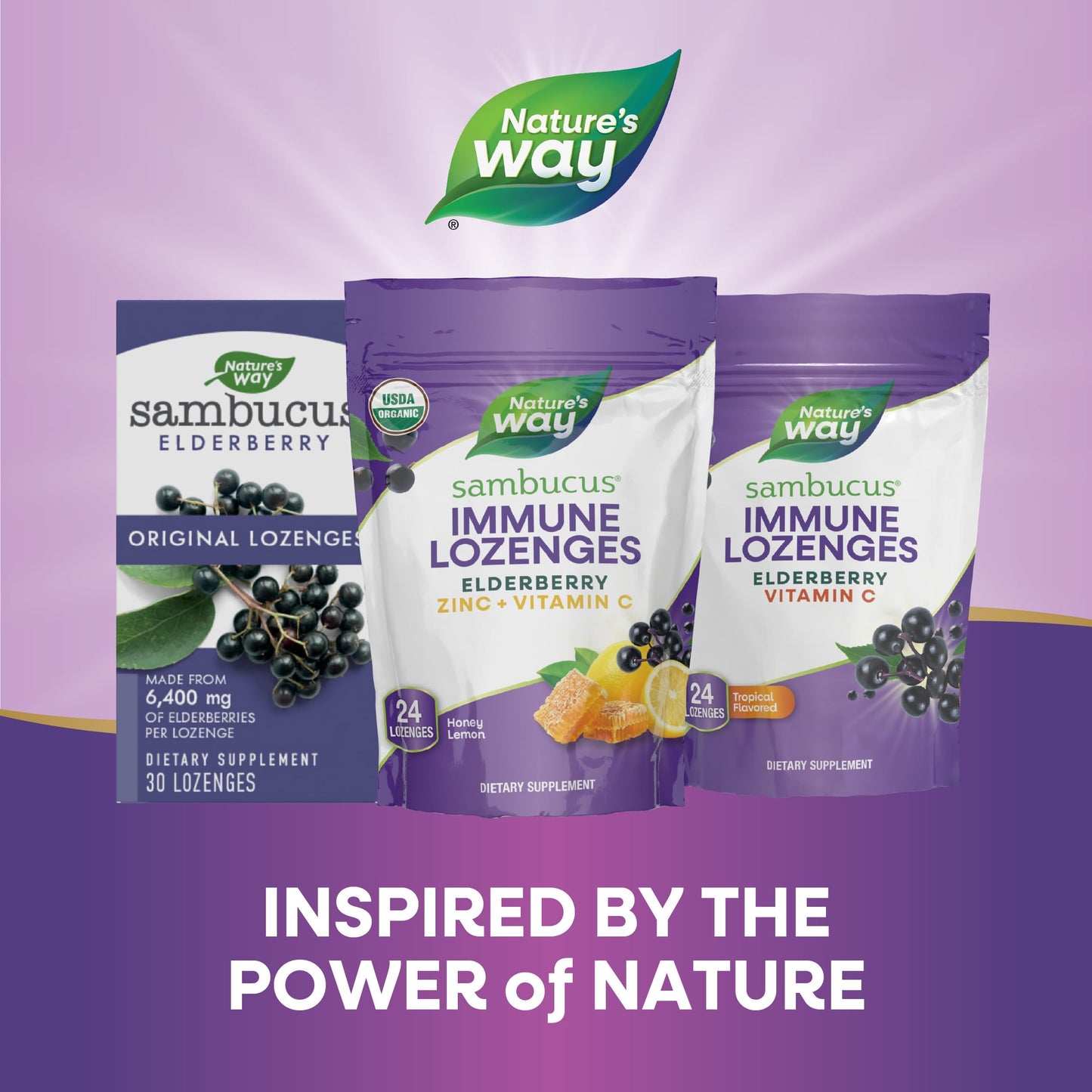 Nature's Way Sambucus Immune Lozenges โ Organic Elderberry, Zinc & Vitamin C (Honey Lemon)