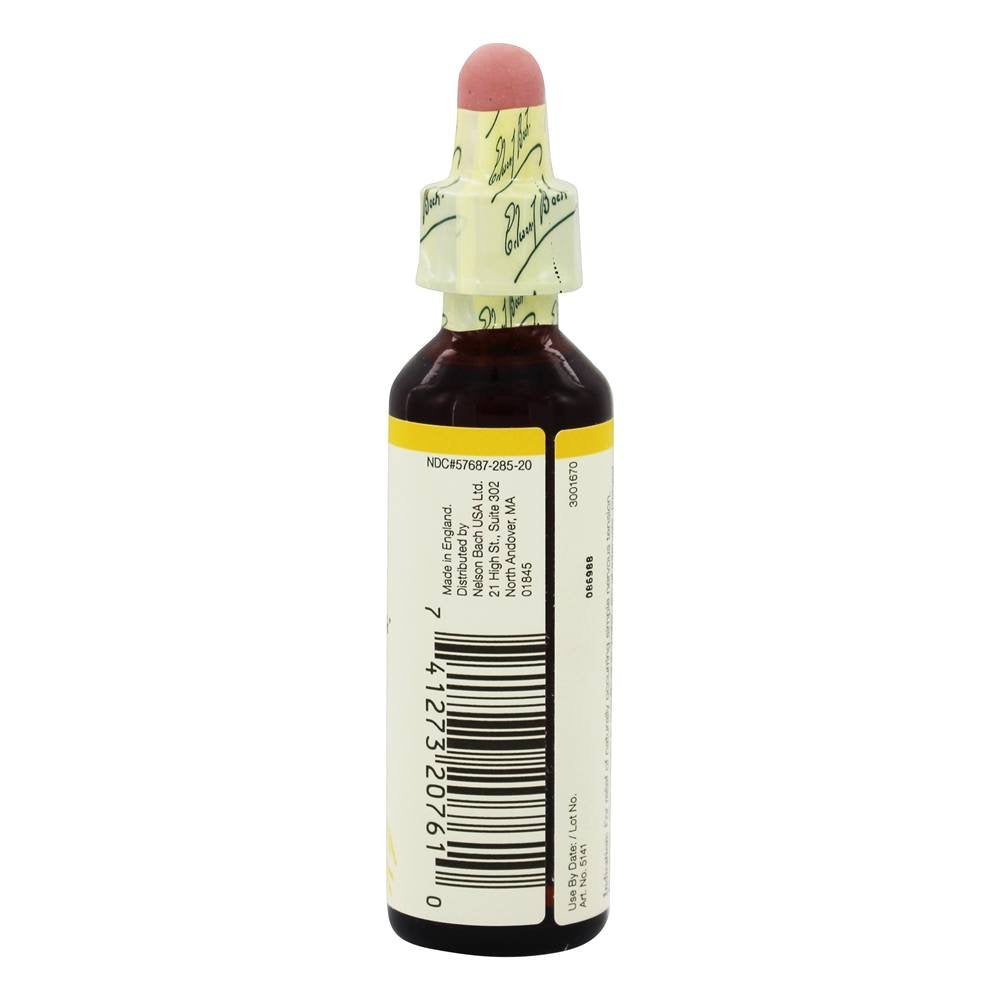 Nelson Bach Flower Wild Oat, 0.04 lb โ Homeopathic Remedy