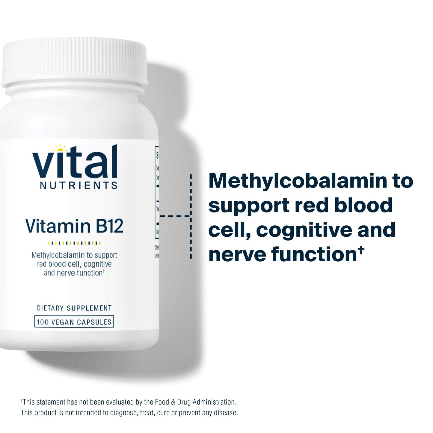 Vital Nutrients B12 1000mcg โ Vegan Methylcobalamin | High-Potency B12