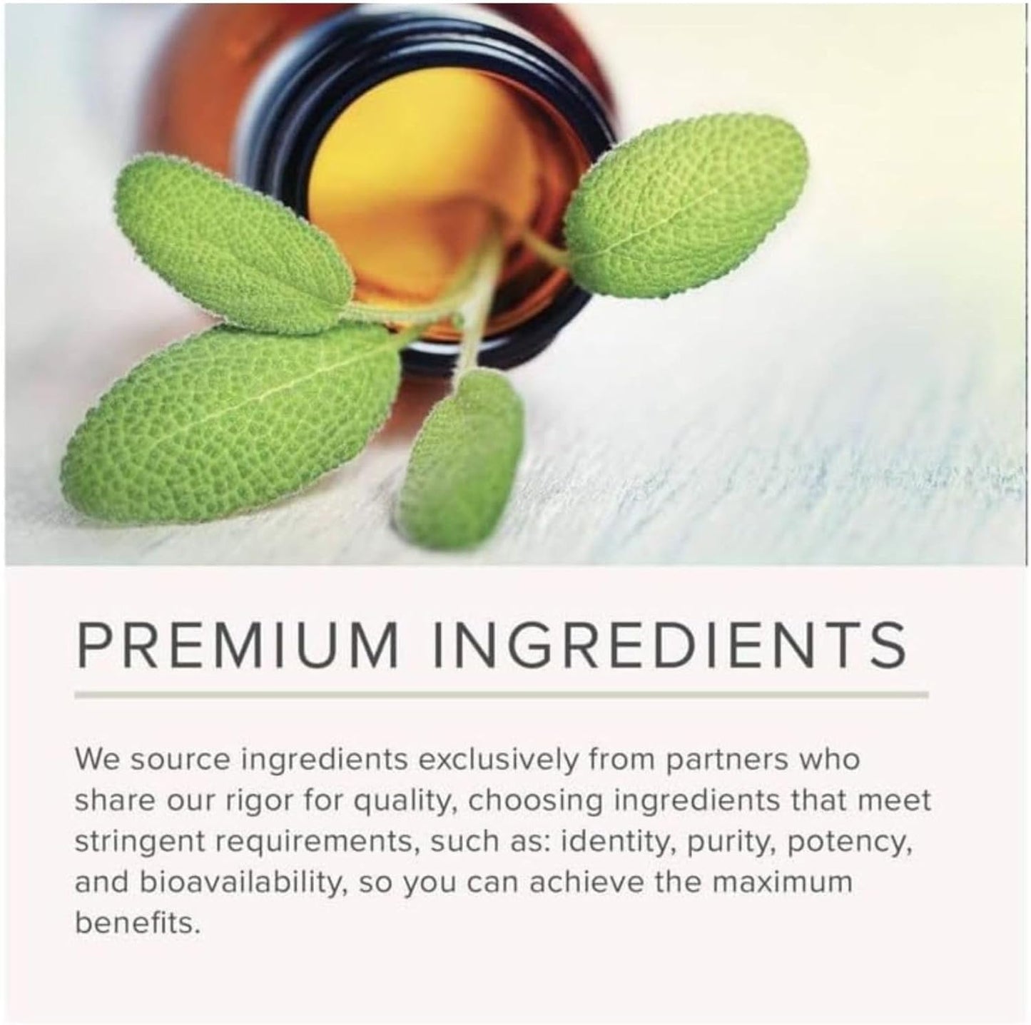 NusaPure Blueberry Concentrate 30:1 Extract โ 667 mg Equivalent to 20,000 mg, 180 Veg Caps, Vegetarian, Vegan, Non-GMO