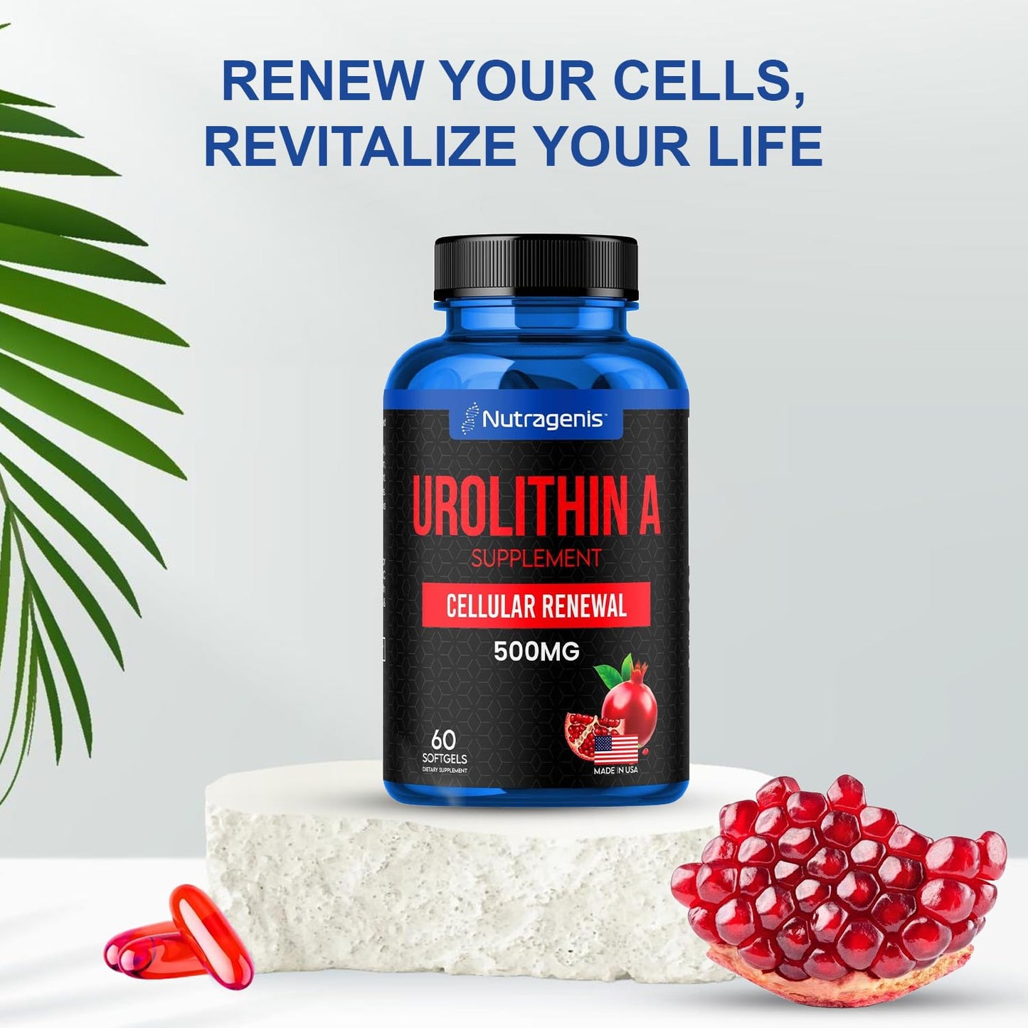 Nutragenis Urolithin A 500mg Softgels โ Advanced Mitochondrial Support