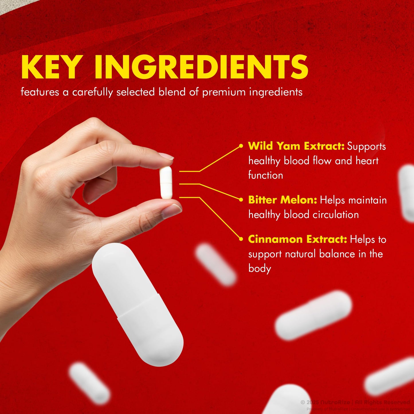 NutraRize Glyco Renew Pills โ All Natural Blood Support Formula | Maximum Strength 60 Capsules
