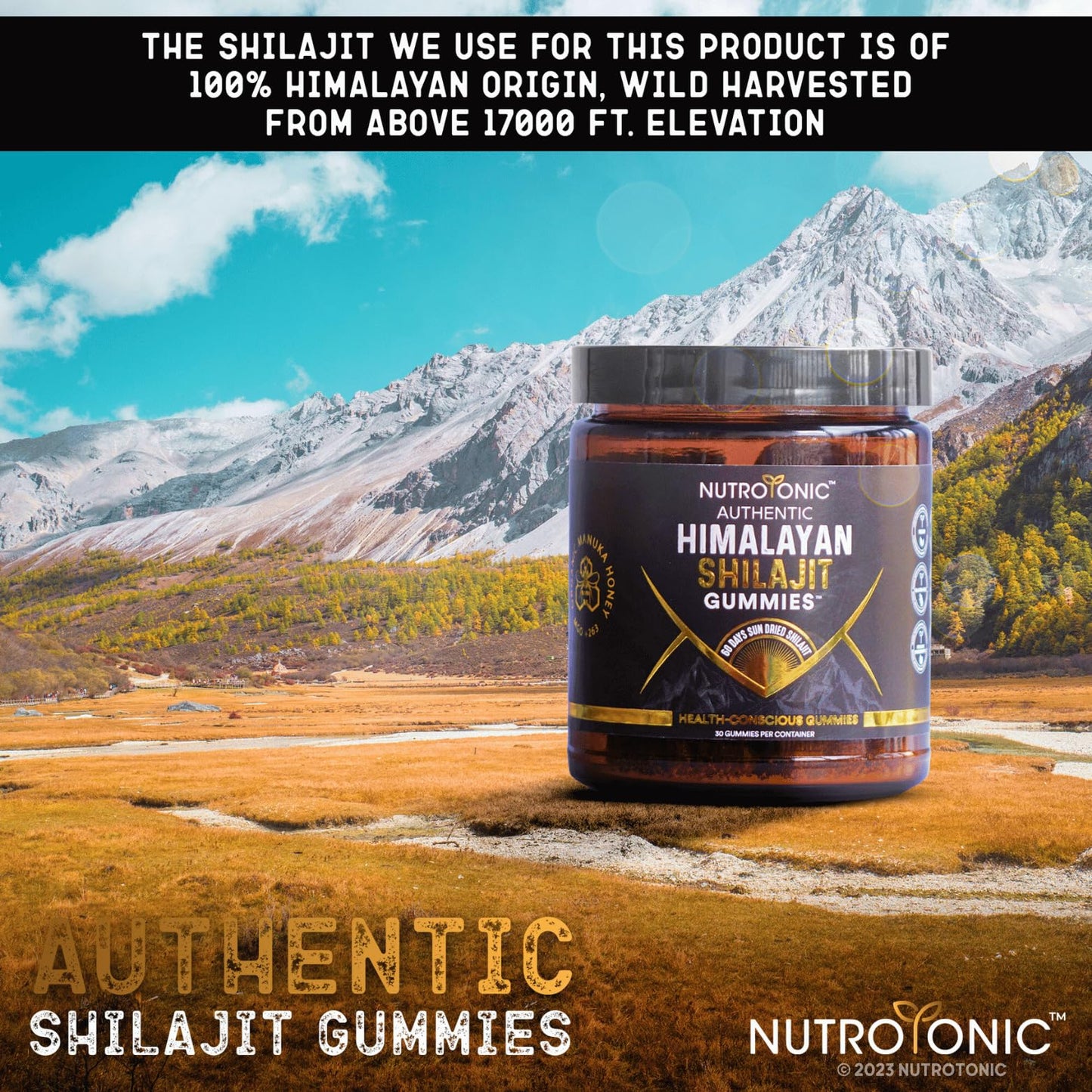 NutroTonic Himalayan Shilajit Gummies β Peach Vanilla, MGO 263 Manuka Honey β Made in USA β 30 Gummies