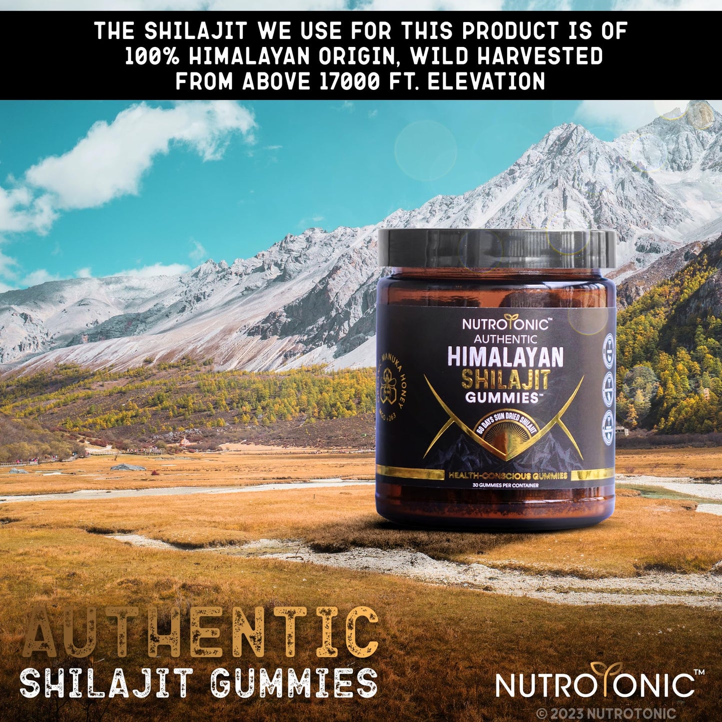 NutroTonic Organic Himalayan Shilajit Gummies β Pomegranate & Vanilla Flavor | Made in USA