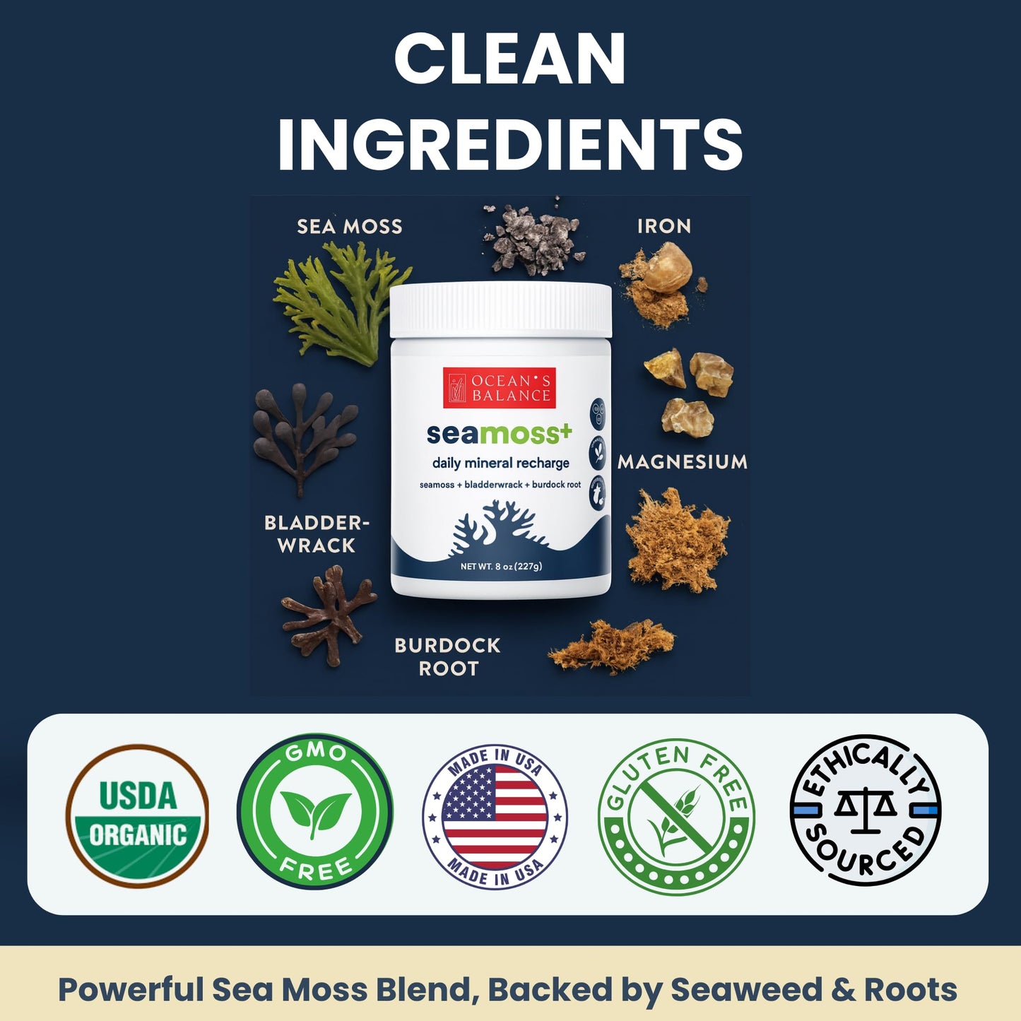 Ocean's Balance Seacleanse+ Daily Detox Powder โ Gut Health & Immune Support | 8oz
