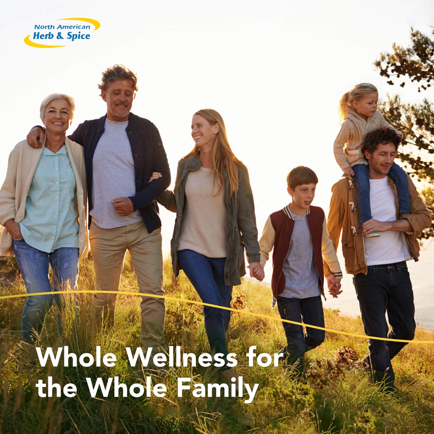 North American Herb & Spice Oreganol P73 โ Convenience Pack, 10 Count