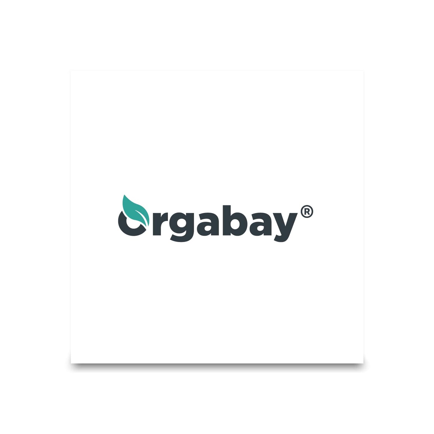 Orgabay Liposomal Quercetin Phytosome 1600 mg โ Bromelain 200 mg, Zinc 30 mg, Vitamin C, Turmeric 40 mg | 120 Softgels