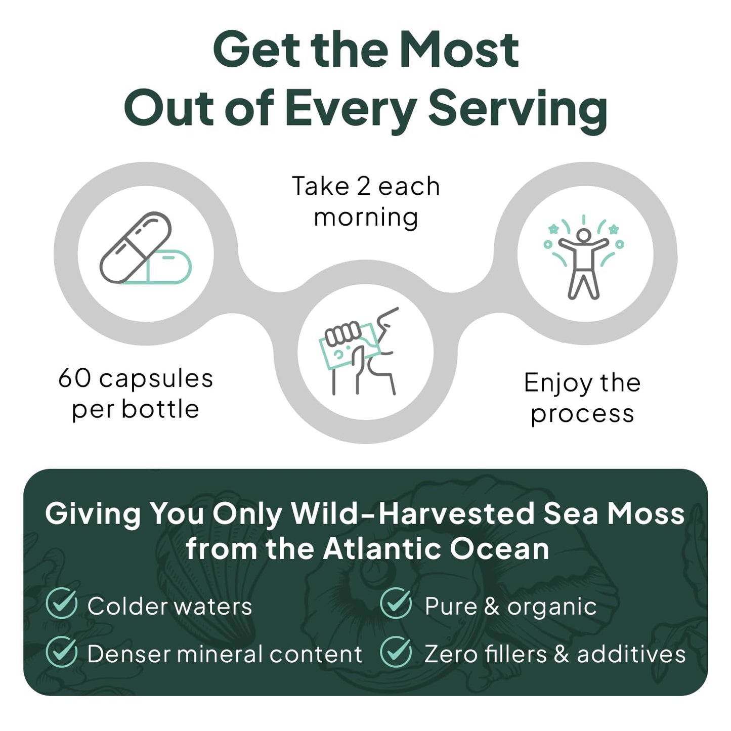Organics Ocean Wild Sea Moss Capsules โ Organic Irish Sea Moss, Chlorella, Bladderwrack & Vitamin D3 (3 Bottles)