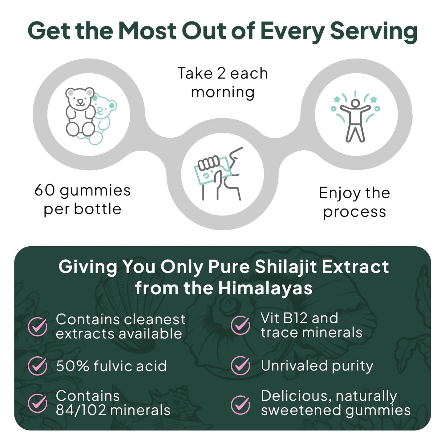 Organics Ocean Shilajit Gummies โ Energy, Hormone Support & Skin Health (60 Gummies)