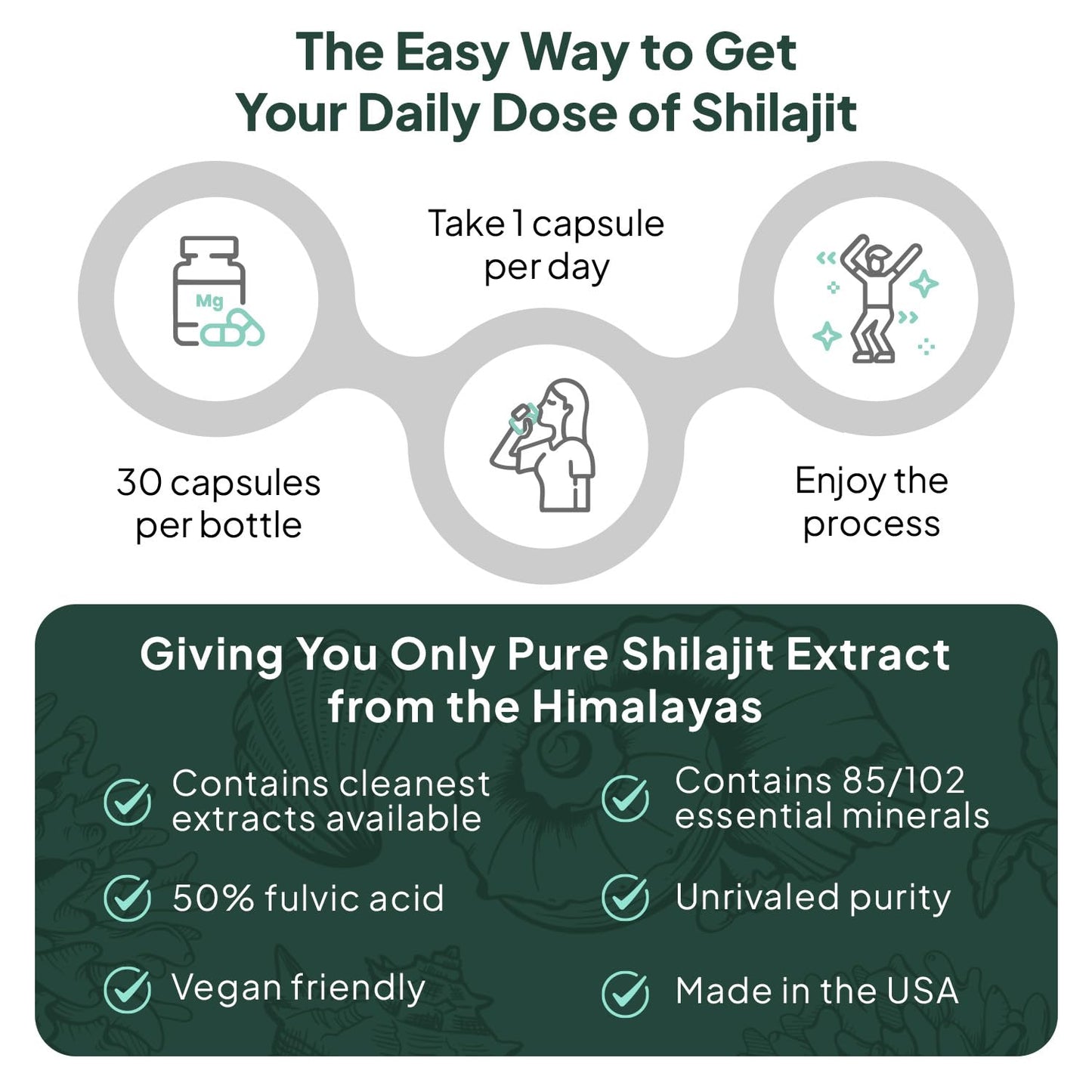 Organics Ocean One-Per-Day Shilajit Capsules β Himalayan Shilajit for Hormone Support β 6 Bottles