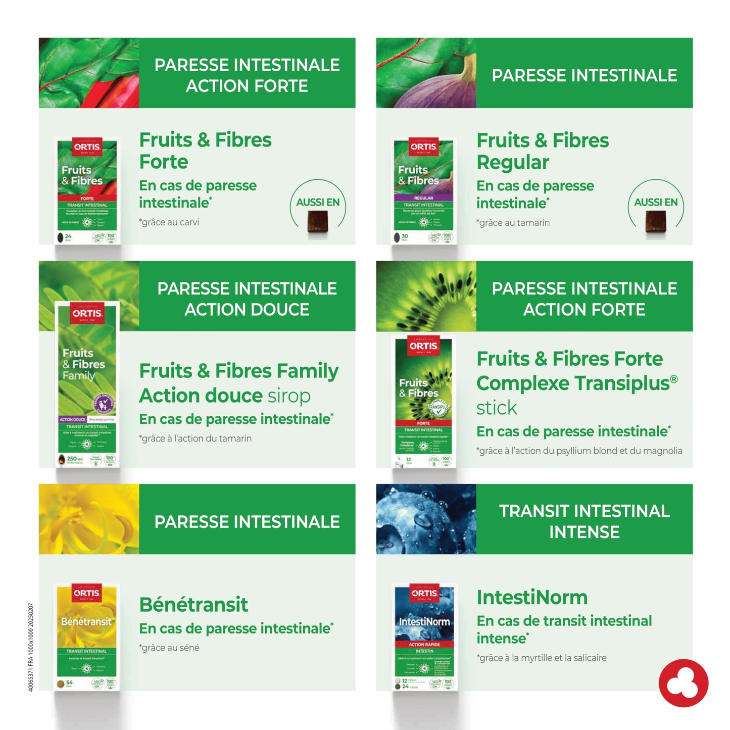 Ortis Fruits & Fibres Regular 45 Squares to Chew โ Nutritional Supplement