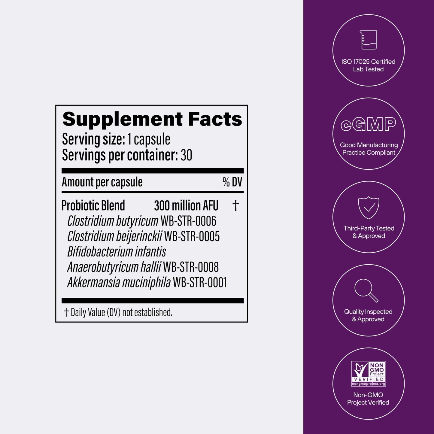 Pendulum Metabolic Daily โ Multi-Strain Probiotic with Akkermansia muciniphila | Metabolism & Energy | 90 Capsules