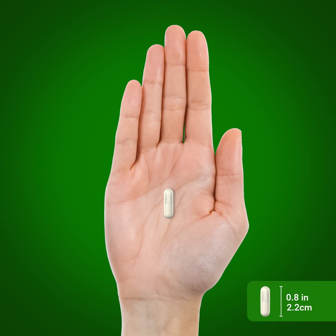 Piping Rock Green Lipped Mussel 750mg โ 120 Capsules | NZ Freeze-Dried, Non-GMO, Gluten Free