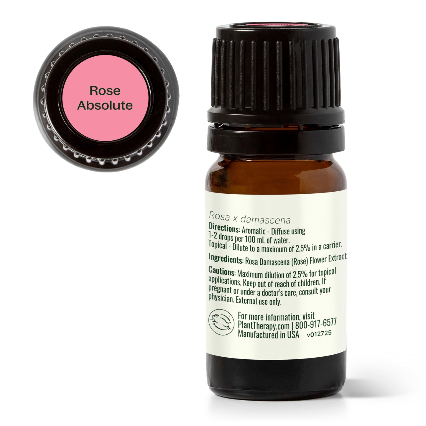 Rose Absolute Essential Oil 5 mL β Plant Therapy | 100% Pure
