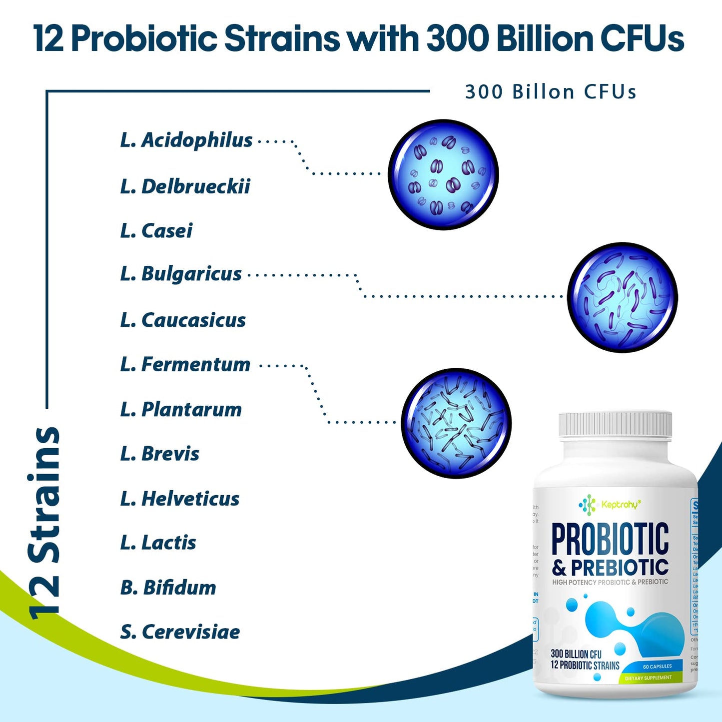 Probiotics for Women & Men โ 300 Billion CFU from 12 Strains + Organic Prebiotics | 180 Capsules