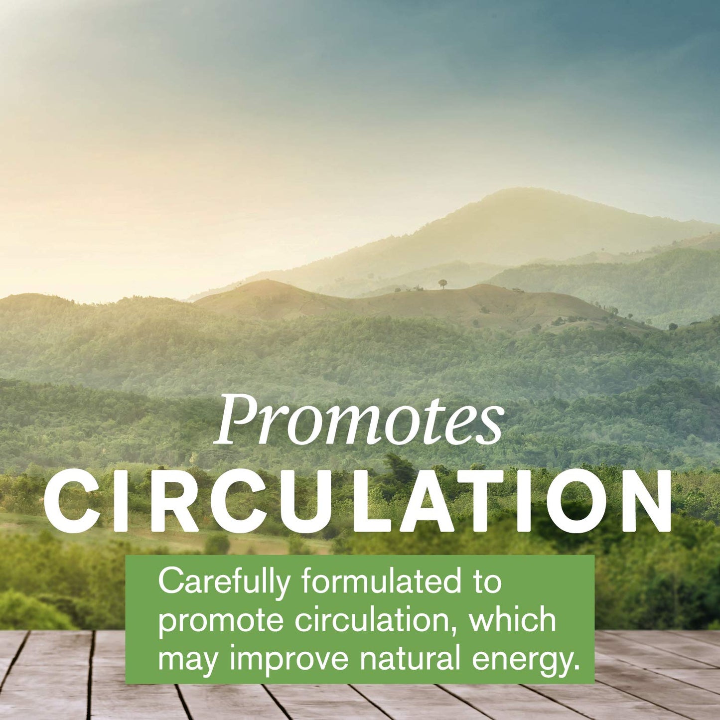 Nature's Sunshine Mind-Max 90 Capsules | Brain Support & Circulation